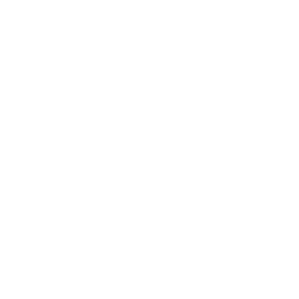 facemi logo